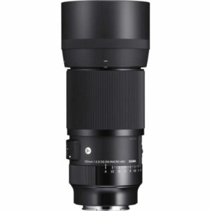 Sigma 105mm f/2.8 DG DN Macro Art monture Sony E