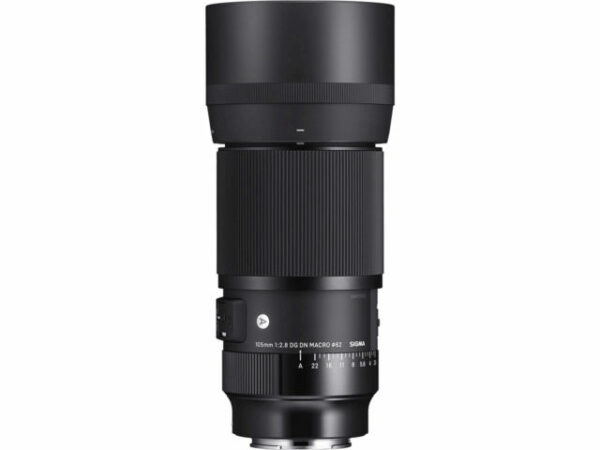 Sigma 105mm f/2.8 DG DN Macro Art monture Sony E